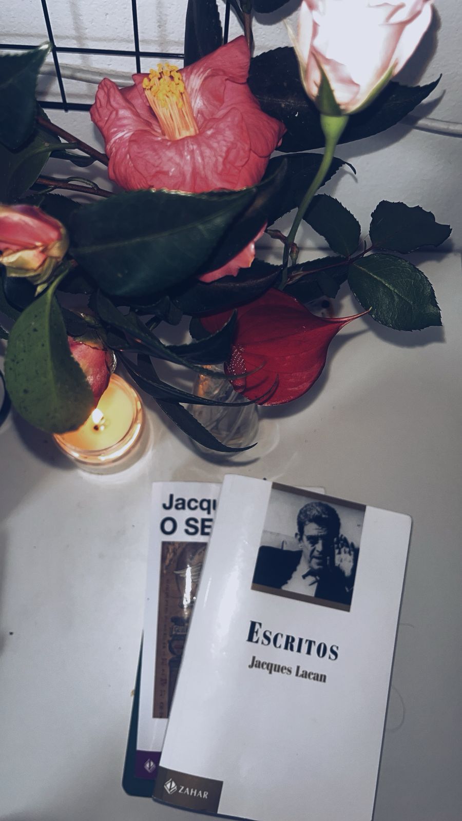 Livro Escritos de Jacques Lacan